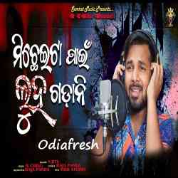 Michheita Pain Luha Gadani